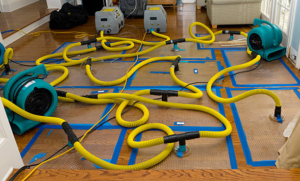 Professional Crawl Space Water Removal technician working in Effingham, NH